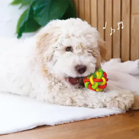 Іграшка для собак м'яч DoggyMan Macaroni Rubber Ball синтетичний каучук 7.5см