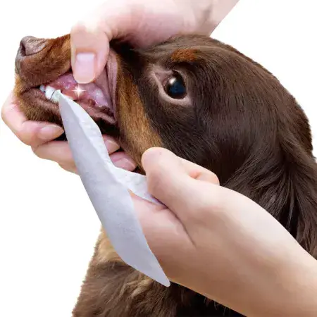 Серветки на палець для чищення зубів собак і котів DoggyMan Dental Care Finger Wipes одноразові вологі - 30 шт