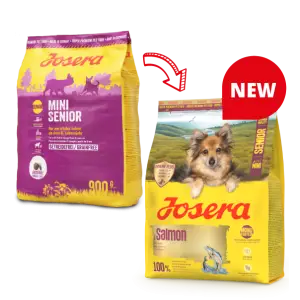 Сухий корм Josera Mini Senior Salmon сухий з лососем для старіючих собак малих порід 900 г