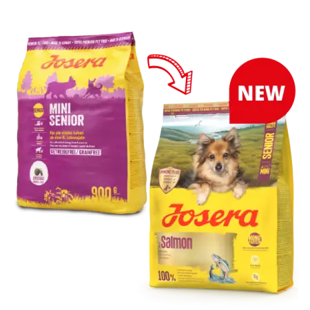 Сухий корм Josera Mini Senior Salmon сухий з лососем для старіючих собак малих порід 900 г