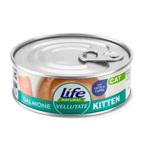 Влажный корм Lifecat Vellutate Wet Kitten для котят паштет с лососем 70 г