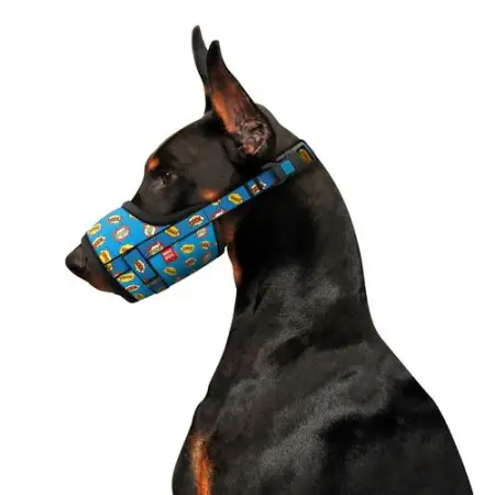 Намордник для собак WAUDOG Nylon, малюнок "ВАУ", пластиковий фастекс, розмір №2, О 19-26 см