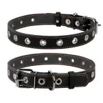 Ошейник CoLLaR безразмерный (ширина 25мм, длина 60см) черный