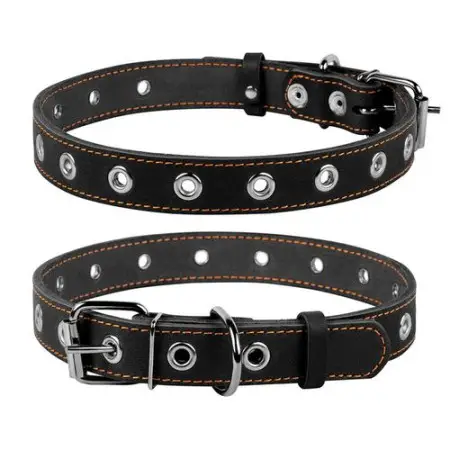 Ошейник CoLLaR безразмерный (ширина 25мм, длина 60см) черный