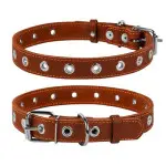 Ошейник CoLLaR безразмерный (ширина 25мм, длина 60см) коричневый