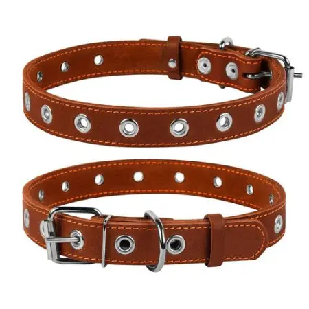 Ошейник CoLLaR безразмерный (ширина 25мм, длина 60см) коричневый