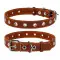 Ошейник CoLLaR безразмерный (ширина 25мм, длина 60см) коричневый