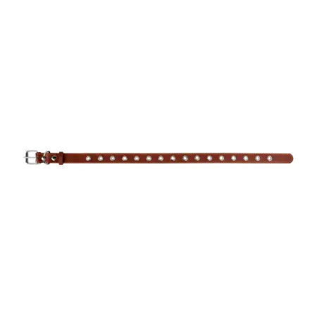 Ошейник CoLLaR безразмерный (ширина 25мм, длина 60см) коричневый