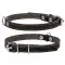 Нашийник "CoLLaR одинарний (ширина 10мм, довжина 22-30см) чорний