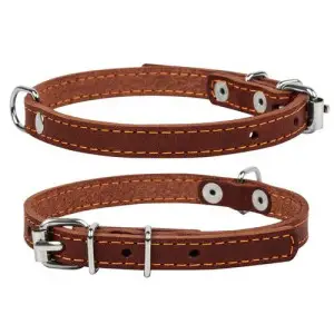Нашийник "CoLLaR одинарний (ширина 10мм, довжина 22-30см) коричневий