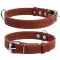 Нашийник "CoLLaR" одинарний (ширина 25мм, довжина 38-50см) коричневий