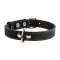 Нашийник "CoLLaR" одинарний (ширина 35мм, довжина 48-63см) чорний