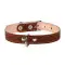 Ошейник CoLLaR двойной (ширина 14мм, длина 27-35см) коричневый