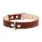 Ошейник CoLLaR двойной (ширина 25мм, длина 38-50см) коричневый