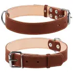Нашийник "CoLLaR" подвійний (ширина 35мм, довжина 48-63см) коричневий