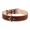 Нашийник "CoLLaR" подвійний (ширина 35мм, довжина 48-63см) коричневий