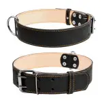 Нашийник "CoLLaR" подвійний (ширина 45мм, довжина 56-68см) чорний