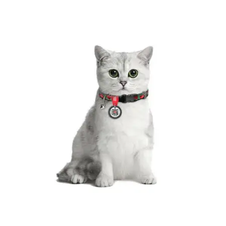 Нашийник для котів нейлоновий WAUDOG Nylon з QR паспортом, малюнок "Гранати", пластиковий фастекс, XS, Ш 10 мм, Дов 20-30 см