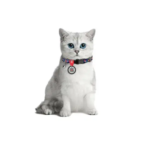 Ошейник для котов нейлоновый WAUDOG Nylon c QR паспортом, рисунок "Инжир", пластиковый фастекс, XS, Ш 10 мм, Дл 20-30 см