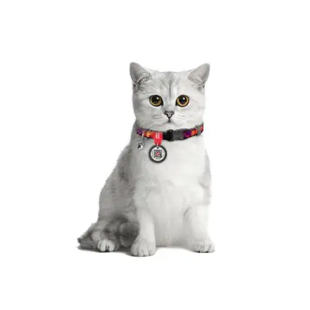 Нашийник для котів нейлоновий WAUDOG Nylon з QR паспортом, малюнок "Куби 3Д", пластиковий фастекс, XS, Ш 10 мм, Дов 20-30 см