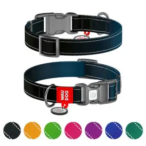 Нашийник для собак нейлоновий WAUDOG Nylon Mono з QR паспортом, світловідбивний, пластиковий фастекс, L, Ш 25 мм, Дов 33-49 см чорний