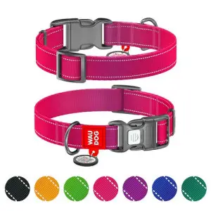 Нашийник для собак нейлоновий WAUDOG Nylon Mono з QR паспортом, світловідбивний, пластиковий фастекс, L, Ш 25 мм, Дов 33-49 см рожевий
