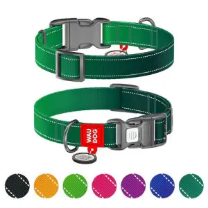 Нашийник для собак нейлоновий WAUDOG Nylon Mono з QR паспортом, світловідбивний, пластиковий фастекс, M, Ш 20 мм, Дов 28-40 см зелений