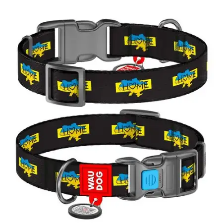 Ошейник для собак нейлоновый WAUDOG Nylon с QR паспортом, рисунок "Дом", пластиковый фастекс, S, Ш 15 мм, Длин 25-35 см