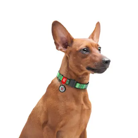 Ошейник для собак нейлоновый WAUDOG Nylon с QR паспортом, рисунок "Этно зеленый", металлическая пряжка-фастекс, Ш 25 мм, Длинна 33-49 см.