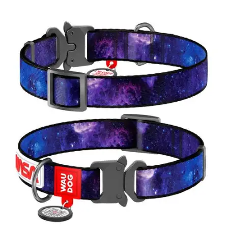 Нашийник для собак нейлоновий WAUDOG Nylon з QR паспортом, малюнок "NASA21", металева пряжка-фастекс, L, Ш 25 мм, Д 33-49 см