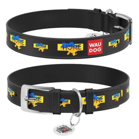 Нашийник для собак шкіряний WAUDOG Design з QR паспортом, малюнок "Дім", XL, Ш 35 мм, Дов 46-59 см, чорний