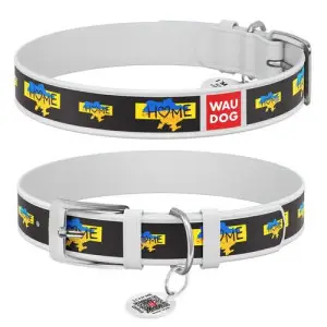 Нашийник для собак шкіряний WAUDOG Design з QR паспортом, малюнок "Дім", XXS, Ш 12 мм, Дов 18-24 см, білий