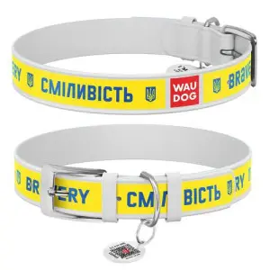 Нашийник для собак шкіряний WAUDOG Design з QR паспортом, малюнок "Сміливість", XS, Ш 12 мм, Дов 20-28 см, білий