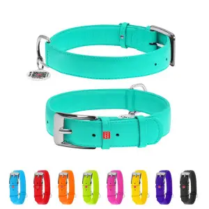 Ошейник для собак кожаный WAUDOG Glamour с QR паспортом, без украшений, XL, Ш 35 мм, Дл 46-60 см ментоловый