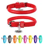 Ошейник для собак кожаный WAUDOG Glamour с QR паспортом, круглый, Д 6 мм, Дл 17-20 см красный