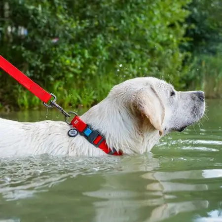 Ошейник для собак водостойкий WAUDOG Waterproof c QR-паспортом, пластиковая пряжка-фастекс, Ш 25 мм, Дл 38-58 см красный