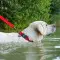 Ошейник для собак водостойкий WAUDOG Waterproof c QR-паспортом, пластиковая пряжка-фастекс, Ш 25 мм, Дл 38-58 см красный