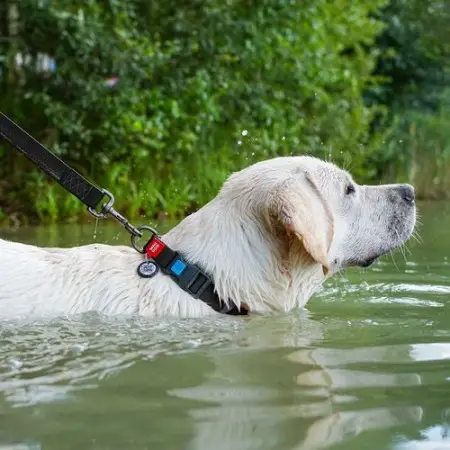 Ошейник для собак водостойкий WAUDOG Waterproof c QR-паспортом, пластиковая пряжка-фастекс, Ш 25 мм, Дл 38-58 см черный