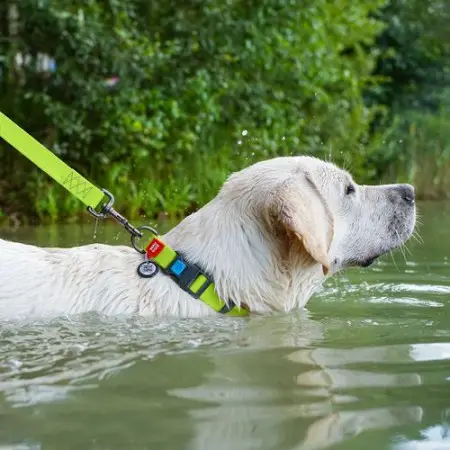 Ошейник для собак водостойкий WAUDOG Waterproof c QR-паспортом, пластиковая пряжка-фастекс, Ш 25 мм, Дл 38-58 см салатовый
