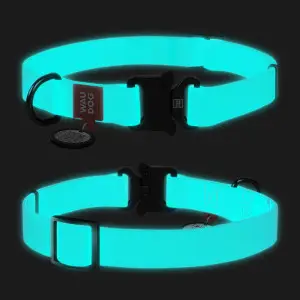Ошейник для собак водостойкий WAUDOG Waterproof c QR-паспортом, светящийся, металлическая пряжка-фастекс, Ш 25 мм, Дл 38-58 см