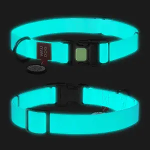 Ошейник для собак водостойкий WAUDOG Waterproof c QR-паспортом, светящийся, пластиковая пряжка-фастекс, Ш 25 мм, Дл 34-49 см