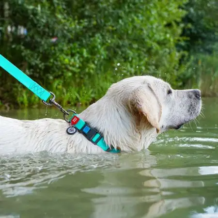 Ошейник для собак водостойкий WAUDOG Waterproof c QR-паспортом, светящийся, пластиковая пряжка-фастекс, Ш 25 мм, Дл 38-58 см