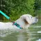 Ошейник для собак водостойкий WAUDOG Waterproof c QR-паспортом, светящийся, пластиковая пряжка-фастекс, Ш 25 мм, Дл 38-58 см