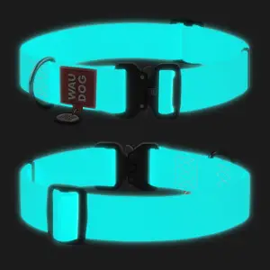 Ошейник для собак водостойкий WAUDOG Waterproof с QR-паспортом, светящийся, металлическая пряжка-фастекс, XXL, Ш 40 мм, Дл 46-70 см