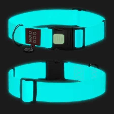 Ошейник для собак водостойкий WAUDOG Waterproof c QR паспортом, светящийся, пластиковый фастекс, XXL, Ш 40 мм, Дл 46-70 см