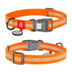 Ошейник для собак водостойкий WAUDOG Waterproof с QR-паспортом, светоотражающий, пластиковая пряжка, M, Ш 20 мм, Дл 28-40 см оранжевый