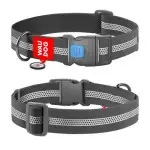 Ошейник для собак водостойкий WAUDOG Waterproof с QR паспортом, светоотражающий, пластиковый фастекс, XXL, Ш 40 мм, Дл 46-70 см, серый