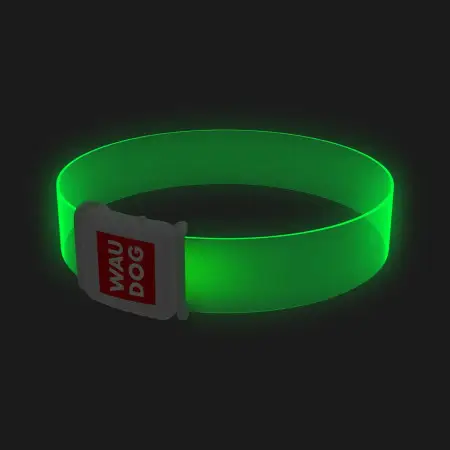 Нашийник для собак з підсвічуванням WAUDOG LED, магнітна застібка, Ш 25 мм, Дов 60 см