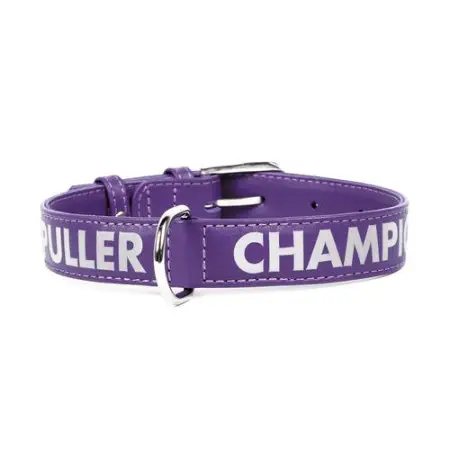 Ошейник DOG PULLER CHAMPION (ширина 20мм, длина 30-39см) фиолетовый