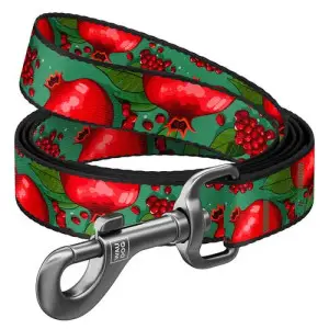 Повідець для собак нейлоновий WAUDOG Nylon, малюнок "Гранати", S, Ш 15 мм, Дов 300 см